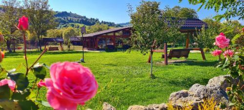 Hostal Pensiunea Aida