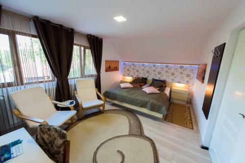 Hostal Pensiunea Surya
