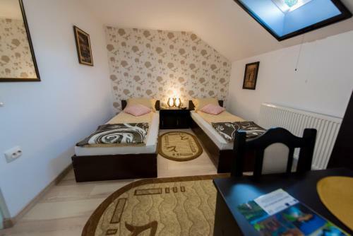 Hostal Pensiunea Surya