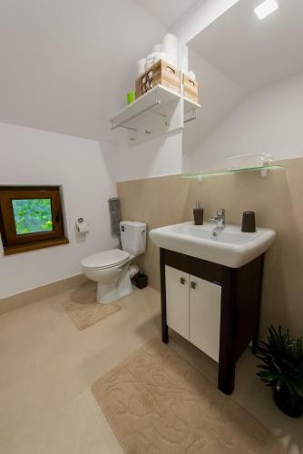 Hostal Pensiunea Surya