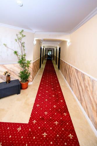 Hostal Pensiunea Grande Lepsa