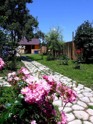 Casa Pavel Jurilovca