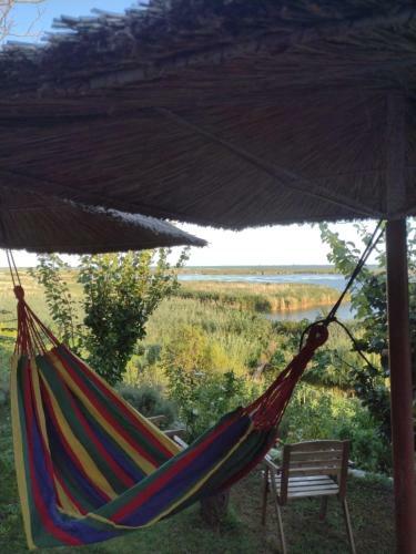 Lake House