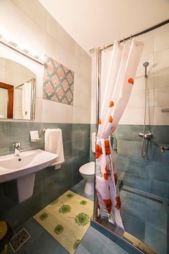 Hostal Pensiunea Palaghia