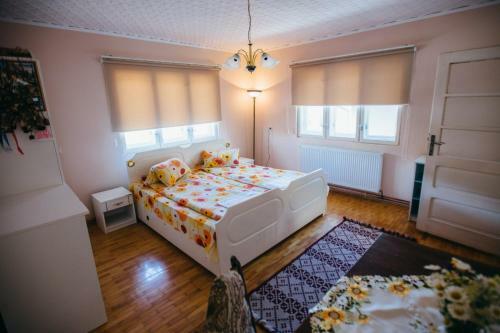 Hostal Gy�ngyvir�g Panzi�