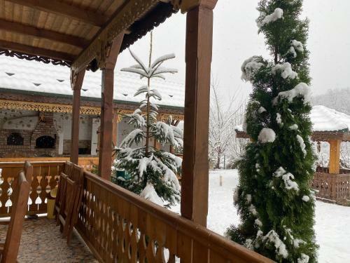 Agropensiunea Valea Fagilor