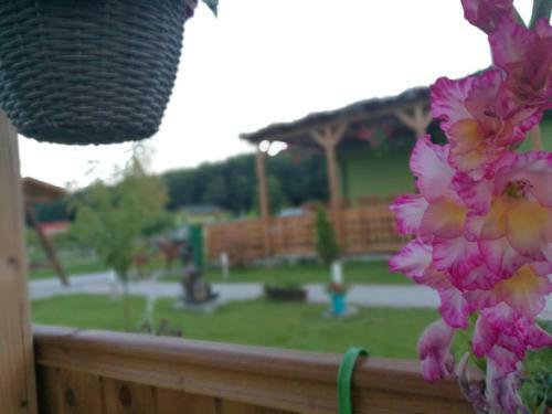 Agropensiunea Valea Fagilor