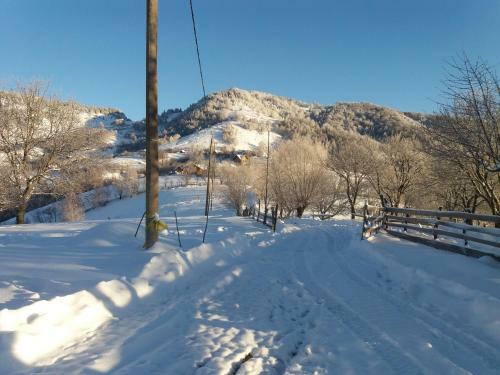 Lodge Casa Claudiu