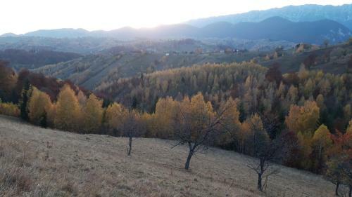 Lodge Casa Claudiu