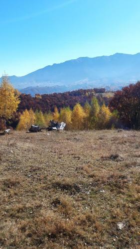 Lodge Casa Claudiu
