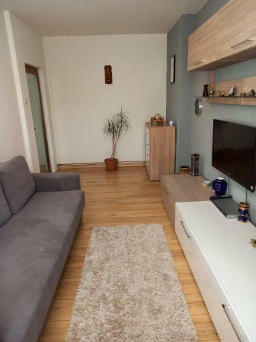 Apartament Plopilor