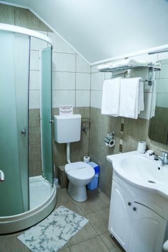 Hostal Pensiunea Alexia