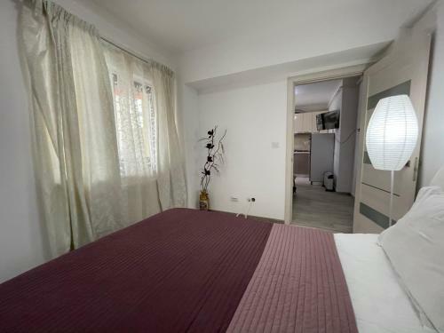 Apartamento Renting Solutions Iulius Mall