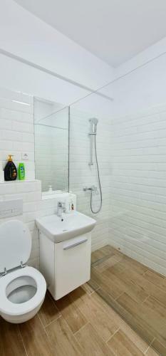 Apartamento Red Accommodation Near Palas Mall