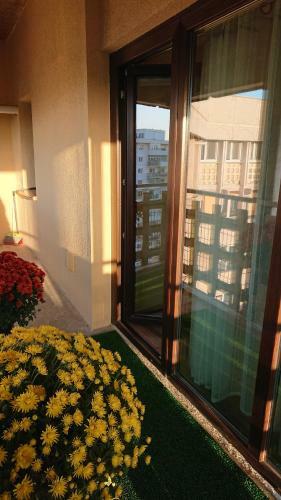 Apartamento Carla's Studio Central Palas