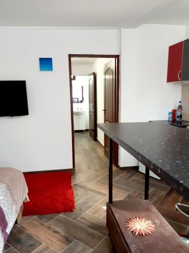 Apartament Parter In Vila Ultracentral Pallas