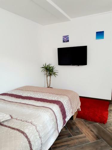 Apartament Parter In Vila Ultracentral Pallas