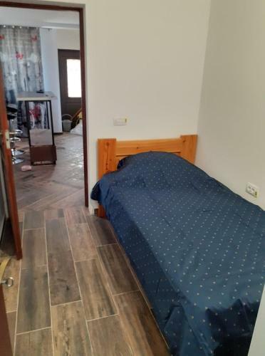 Apartament Parter In Vila Ultracentral Pallas