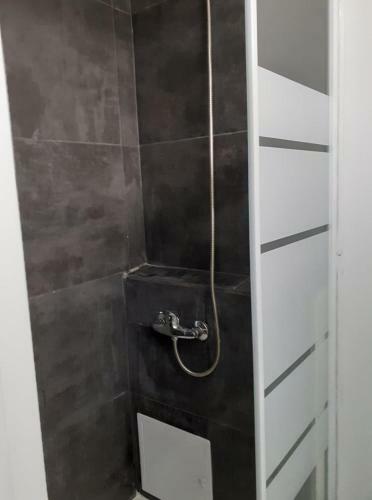 Apartament Parter In Vila Ultracentral Pallas