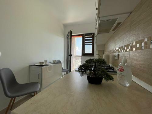 Apartamento Xclusive Iulius Mall