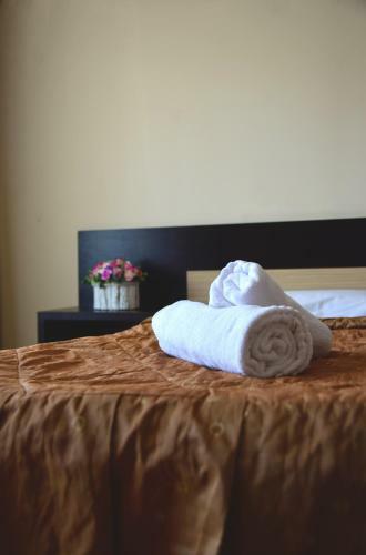 Hostal Pensiunea Eric
