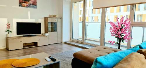 Conest Apartment Residence