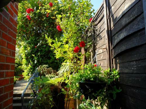Hostal Galway Guest House