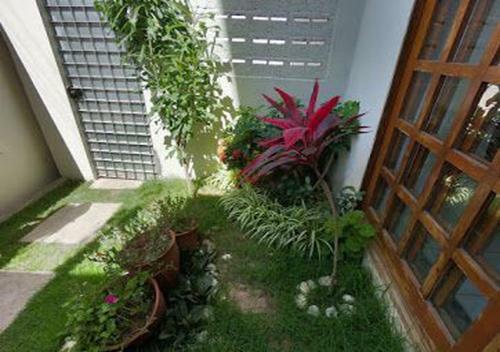 Hostal Hostel My House