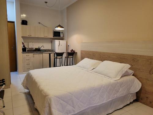 Apartamento Studio Em Caxambu