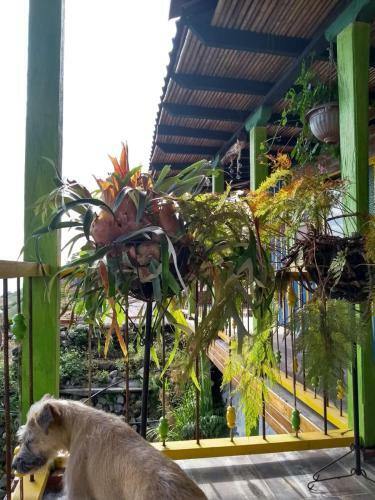 Hostal - Glamping Malius Casa Lago