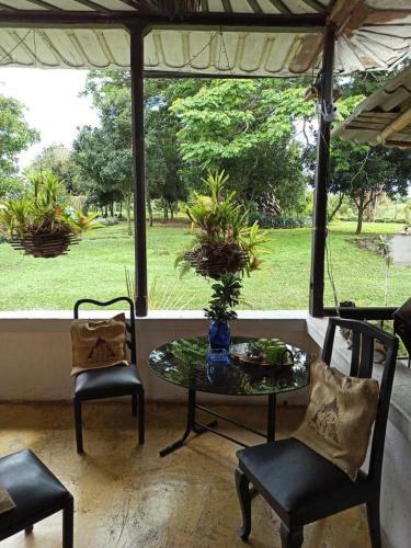 Hacienda La Primavera