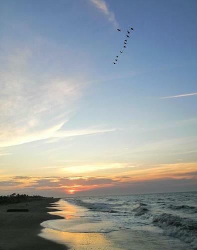 Lodge Chevere Beach