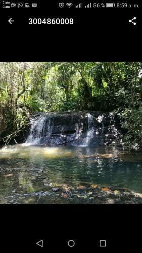 Greenforest