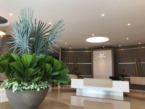 Hermoso Apartamento de Lujo En La Playa - Rodadero