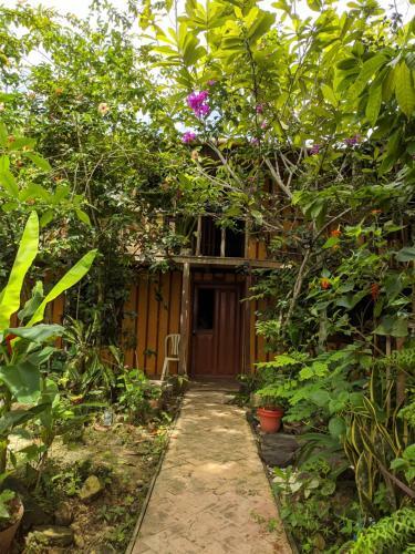 Hostal Refugio Maiku Puerto Nari�o