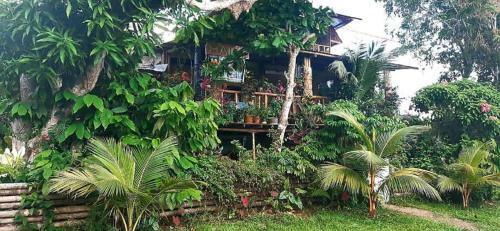 Hostal Refugio Maiku Puerto Nari�o