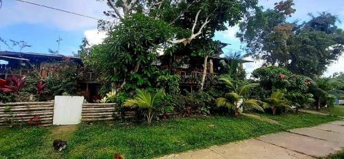 Hostal Refugio Maiku Puerto Nari�o