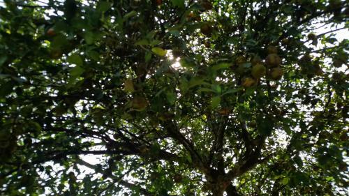 La Casa En La Estaci�n