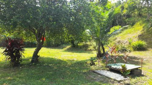 La Casa En La Estaci�n