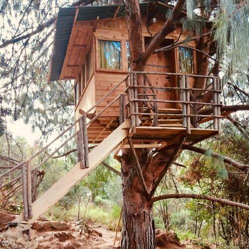 Casa En Arbol Raquira