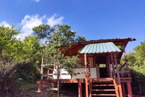 Casa En Arbol Raquira