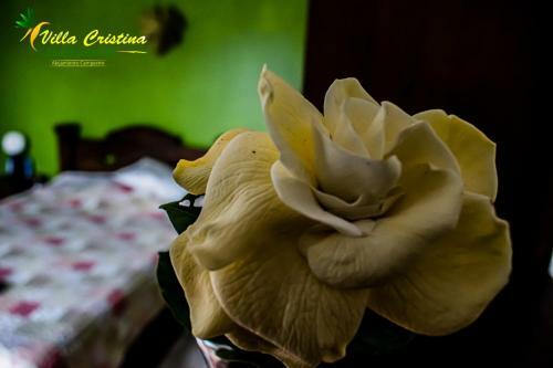 Hotel Villa Cristina - Casa Boutique