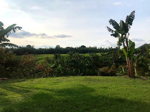 Agroturismo Finca Hotel Villa Astrid