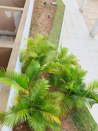 Apartamento Flat Vip 5 Estrelas 26 Metros Granja Vianna.