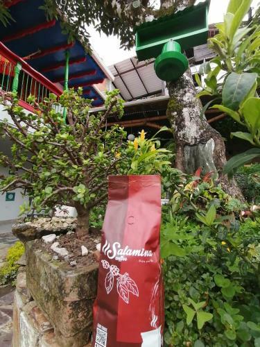 Hotel Salamina Highs