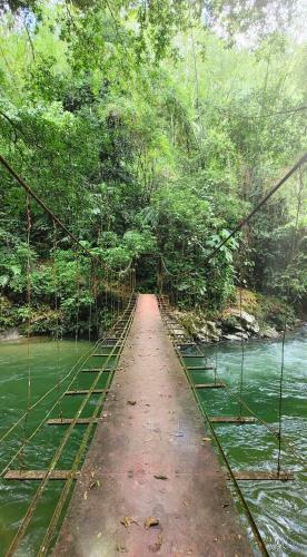 Hostal Mostaza Hostel