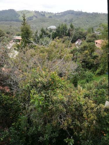 Apartamento Caba�a Santa Elena