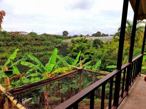 Lodge Villa Sofi