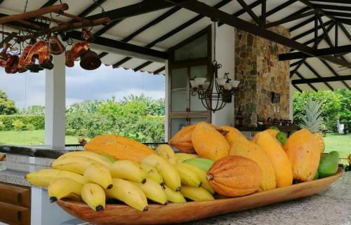 Hotel Finca Los Mangos