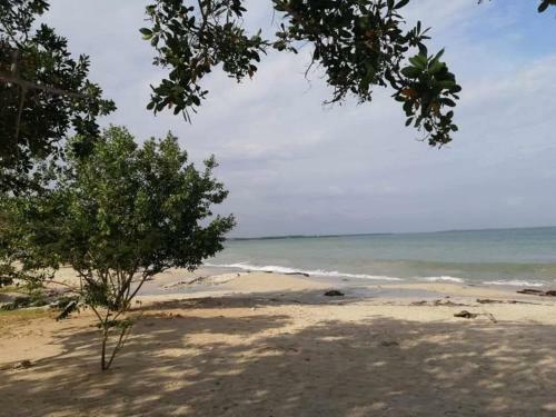Apartamento Vacacional - Para�so Tropical